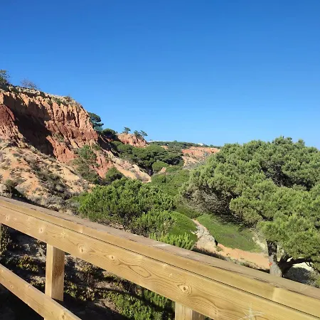 Somar Olhos De Agua *