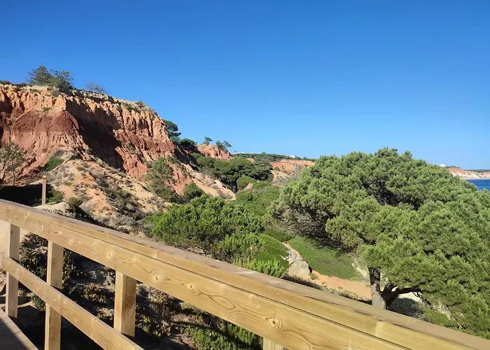 Somar Olhos De Agua *